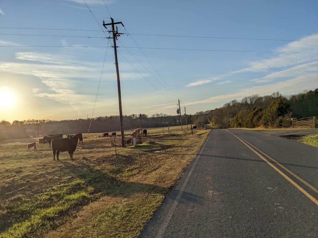 Scenic road near FireClay Cellars