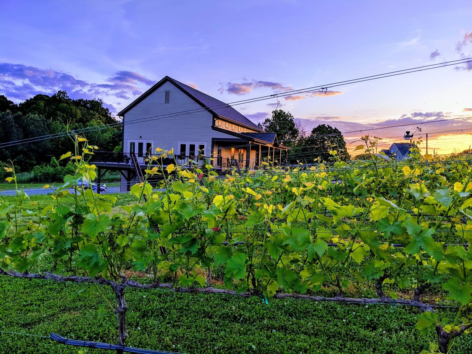 FireClay Cellars seen through the vineyard